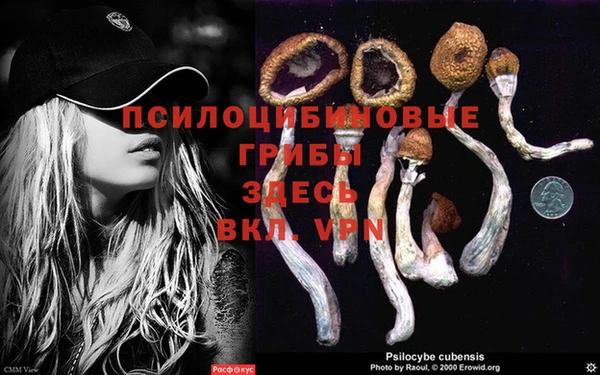 бутират Туринск